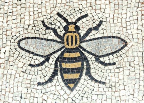 Image of a Mosaic Bee